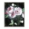 Stupell Industries Moody Roses on Black Framed Giclee Wall Art Design by Janet Tava